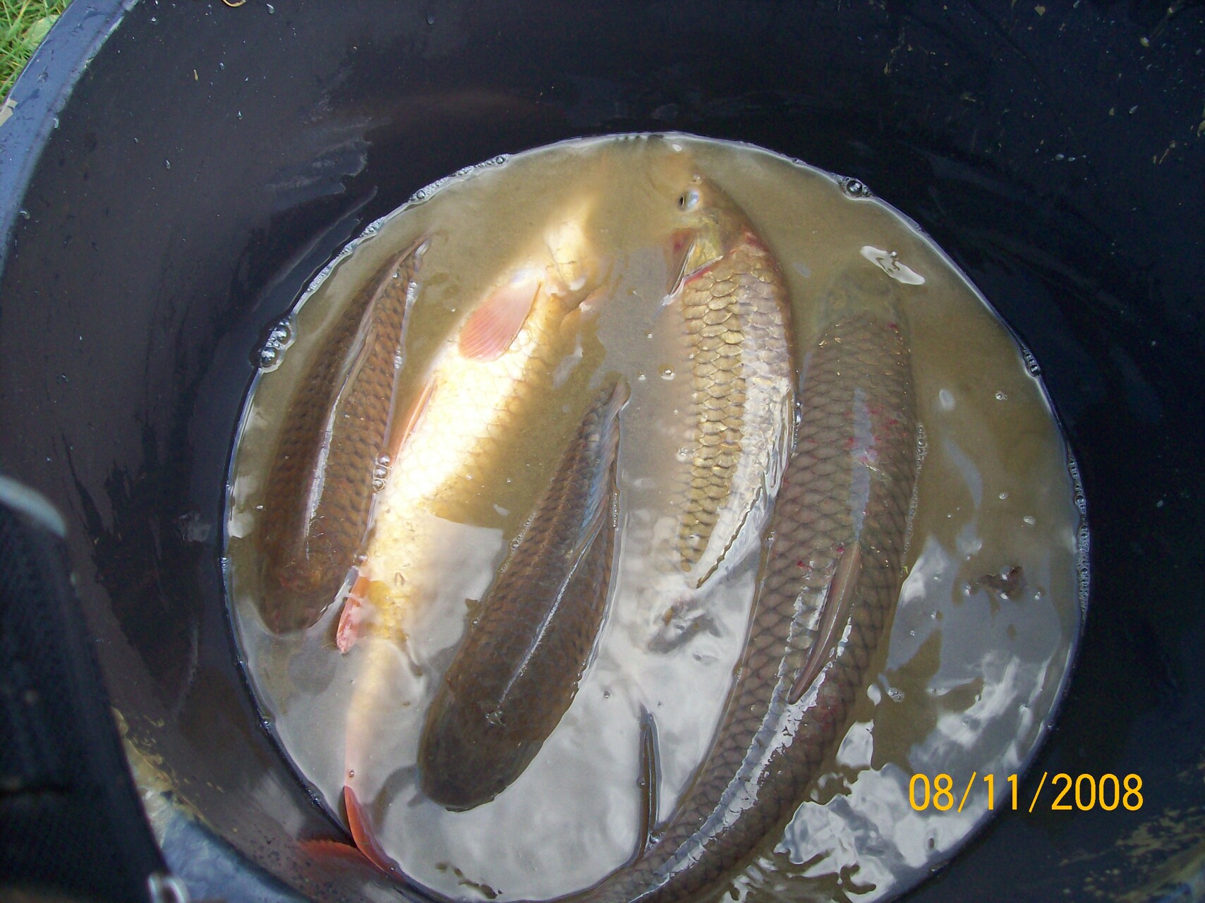 Galeriebild: 100 2348