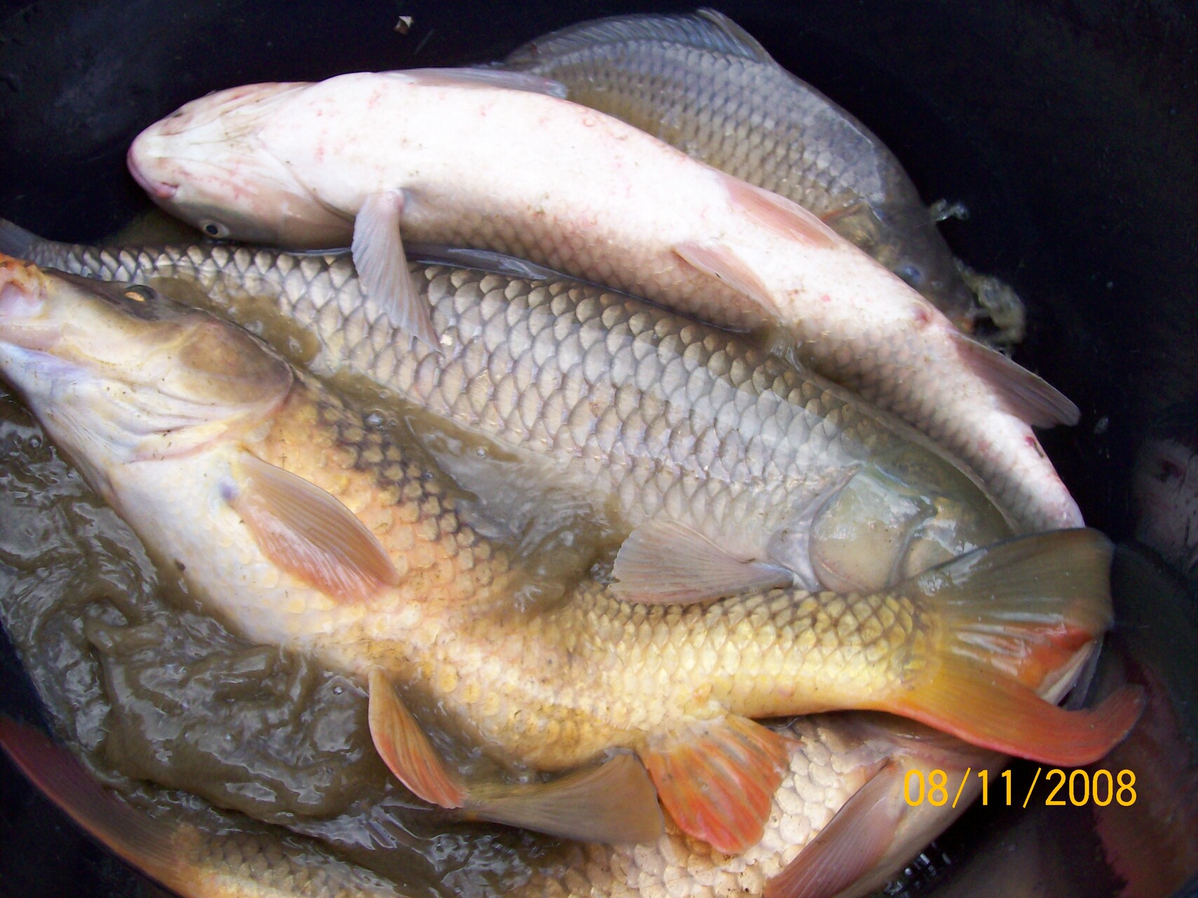 Galeriebild: 100 2349